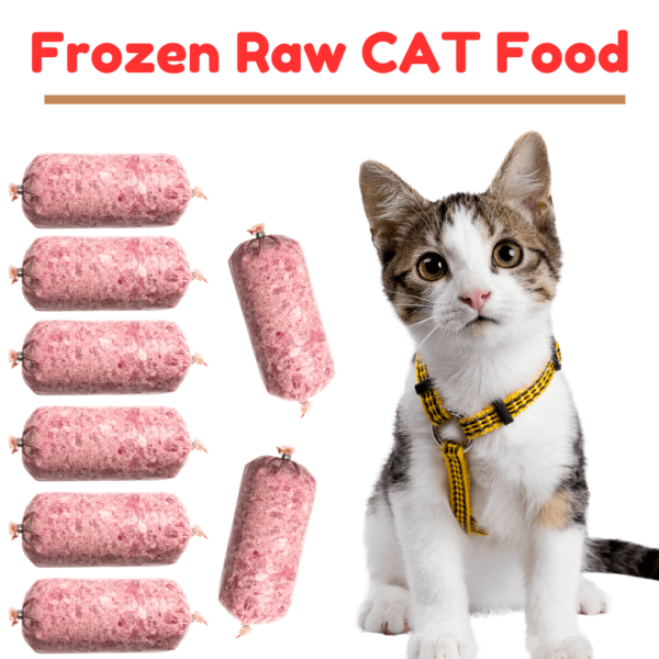 frozen cat food