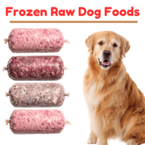 frozen dog food